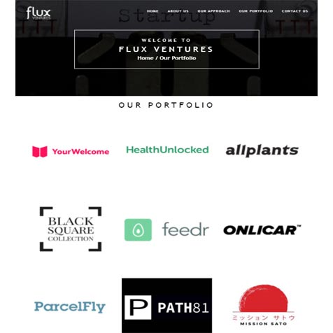 flux website screenshot